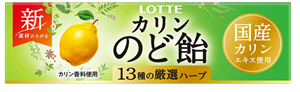 L-13 のど飴 120入