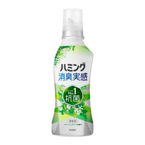 ﾊﾐﾝｸ ﾞ消臭実感ﾘﾌﾚｯｼｭｸﾞﾘｰﾝ 本 510g